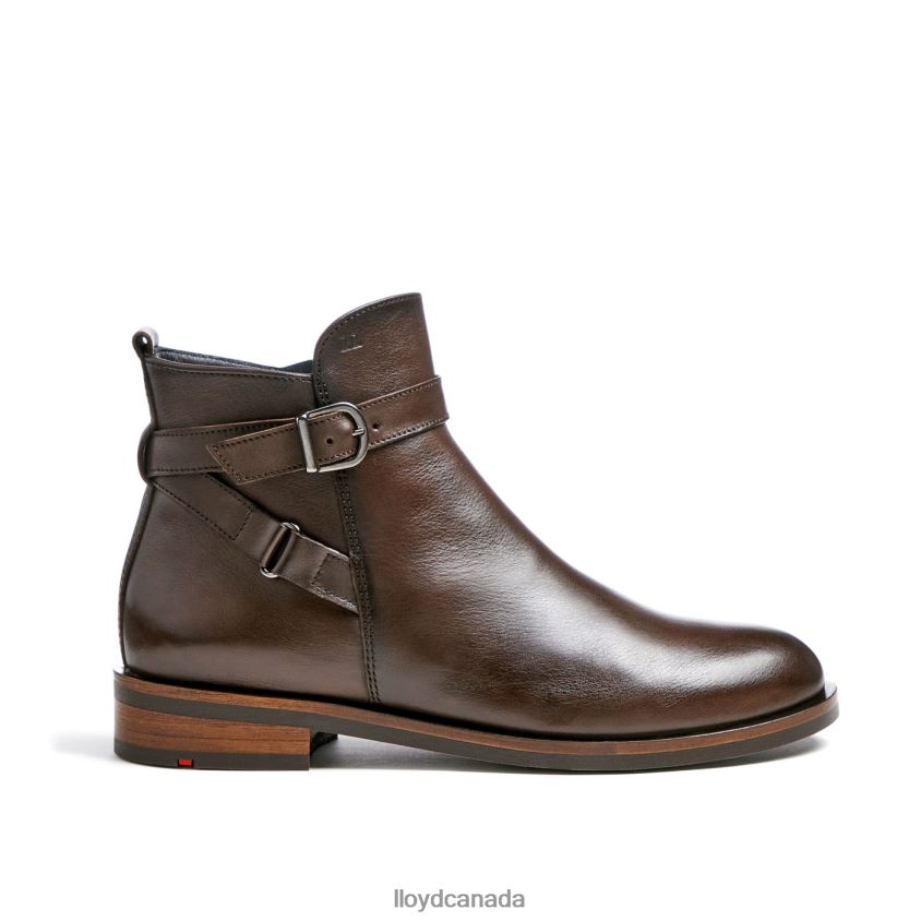 fashion leather ANKLE BOOT LLOYD Women brown R084ZF899 Shoes