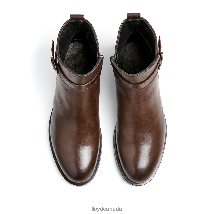 fashion leather ANKLE BOOT LLOYD Women brown R084ZF899 Shoes
