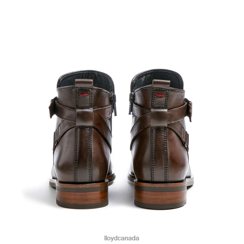 fashion leather ANKLE BOOT LLOYD Women brown R084ZF899 Shoes