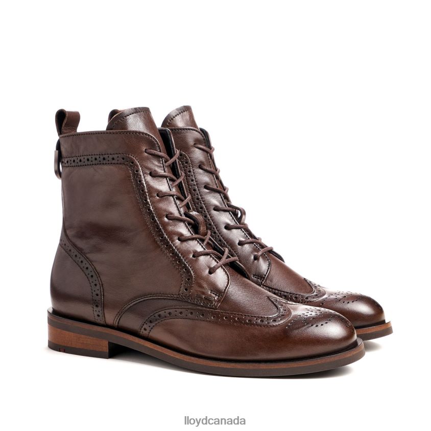 fashion smooth leather ANKLE BOOT LLOYD Women brown R084ZF877 Shoes