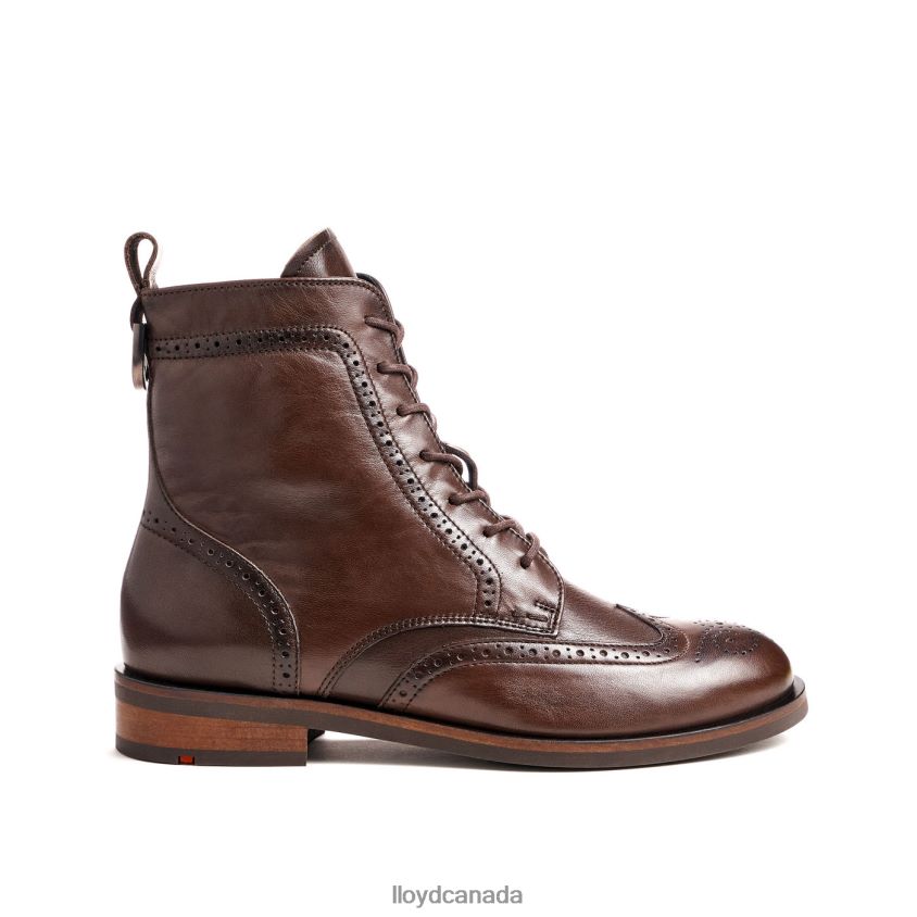 fashion smooth leather ANKLE BOOT LLOYD Women brown R084ZF877 Shoes