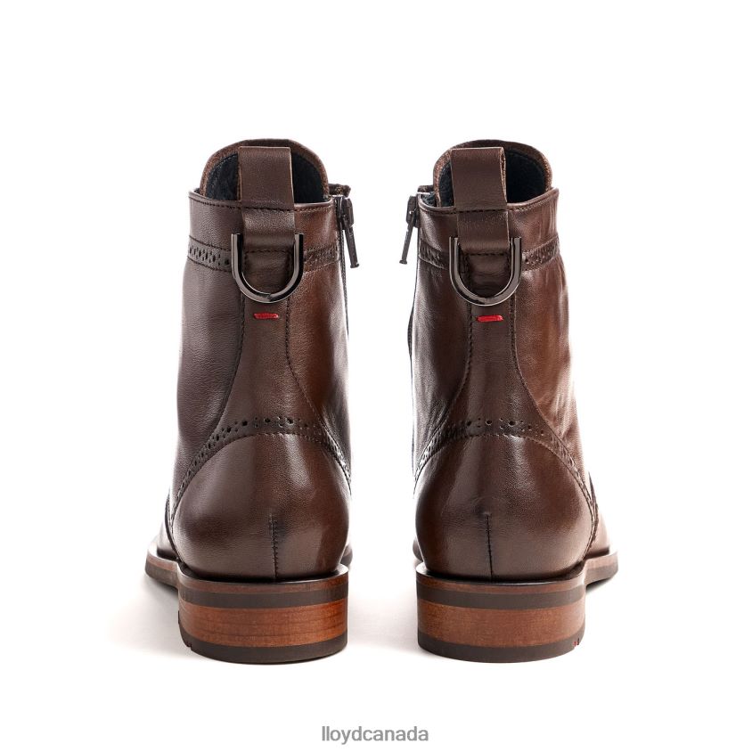 fashion smooth leather ANKLE BOOT LLOYD Women brown R084ZF877 Shoes