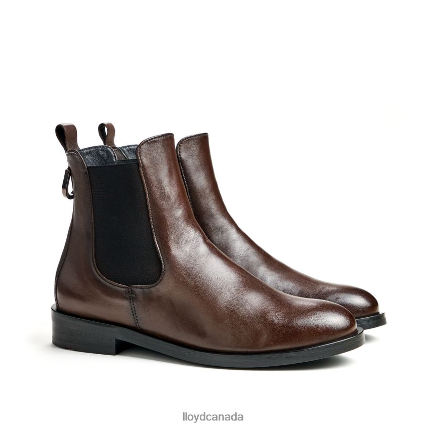 fashion smooth leather ANKLE BOOT LLOYD Women brown R084ZF897 Shoes