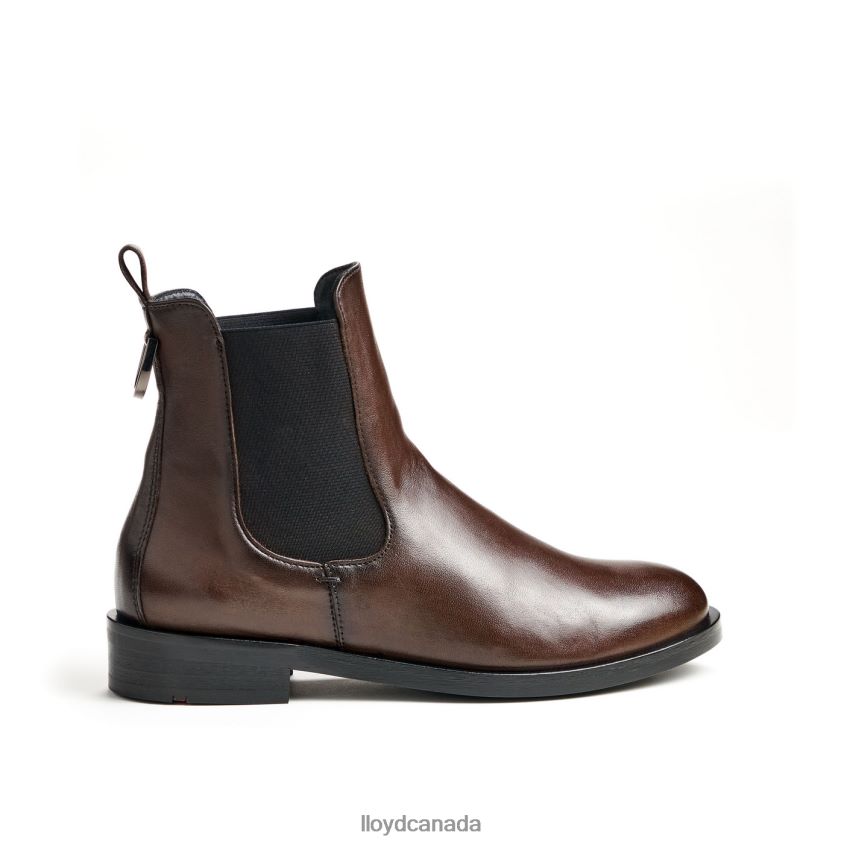 fashion smooth leather ANKLE BOOT LLOYD Women brown R084ZF897 Shoes