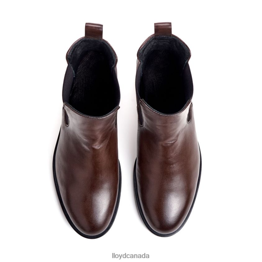 fashion smooth leather ANKLE BOOT LLOYD Women brown R084ZF897 Shoes