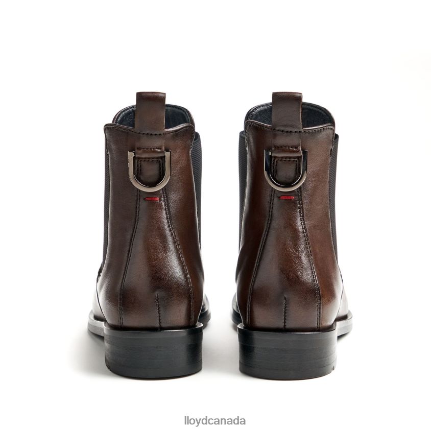 fashion smooth leather ANKLE BOOT LLOYD Women brown R084ZF897 Shoes