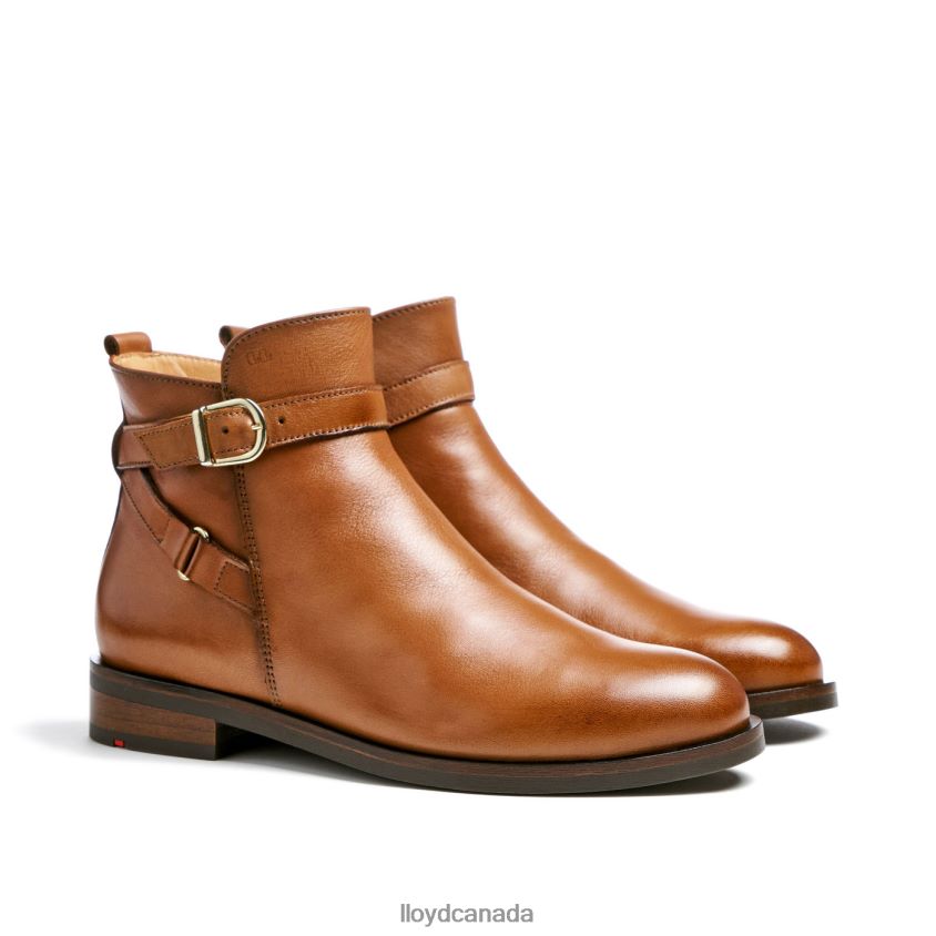 fashion smooth leather ANKLE BOOT LLOYD Women brown R084ZF900 Shoes
