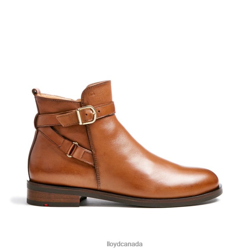 fashion smooth leather ANKLE BOOT LLOYD Women brown R084ZF900 Shoes