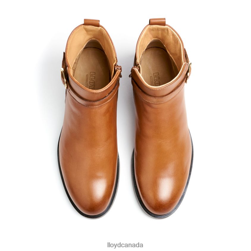 fashion smooth leather ANKLE BOOT LLOYD Women brown R084ZF900 Shoes