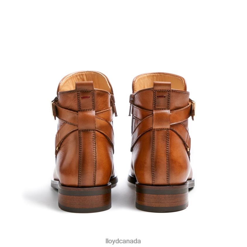 fashion smooth leather ANKLE BOOT LLOYD Women brown R084ZF900 Shoes