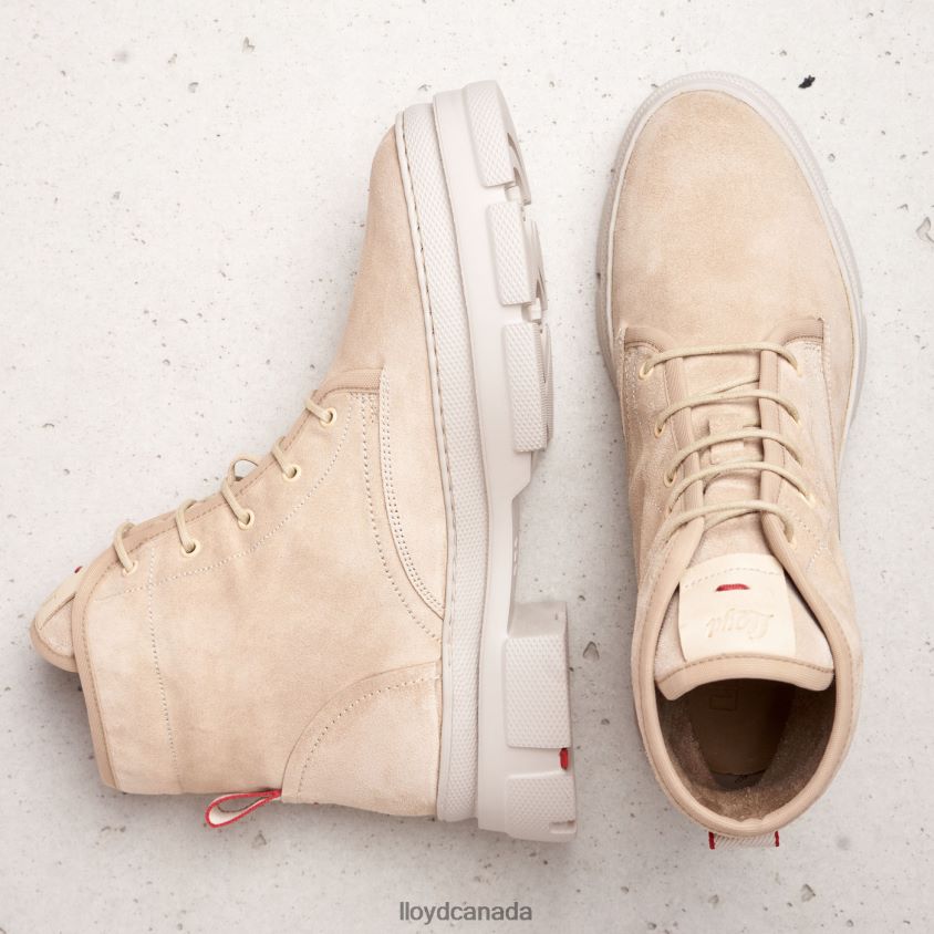 lace-up ANKLE BOOTS LLOYD Women beige R084ZF977 Shoes