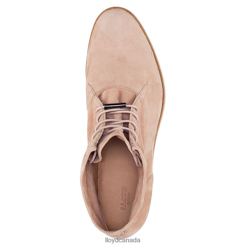 lace-up ANKLE BOOTS LLOYD Women beige R084ZF991 Shoes