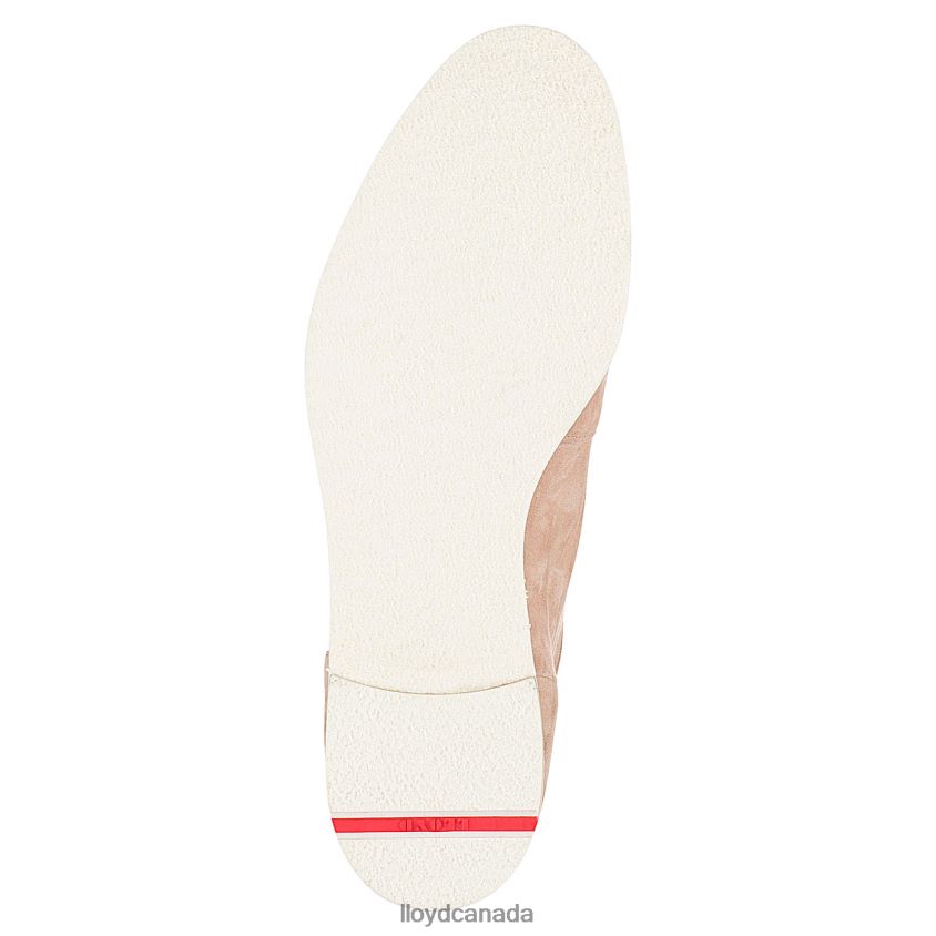 lace-up ANKLE BOOTS LLOYD Women beige R084ZF991 Shoes