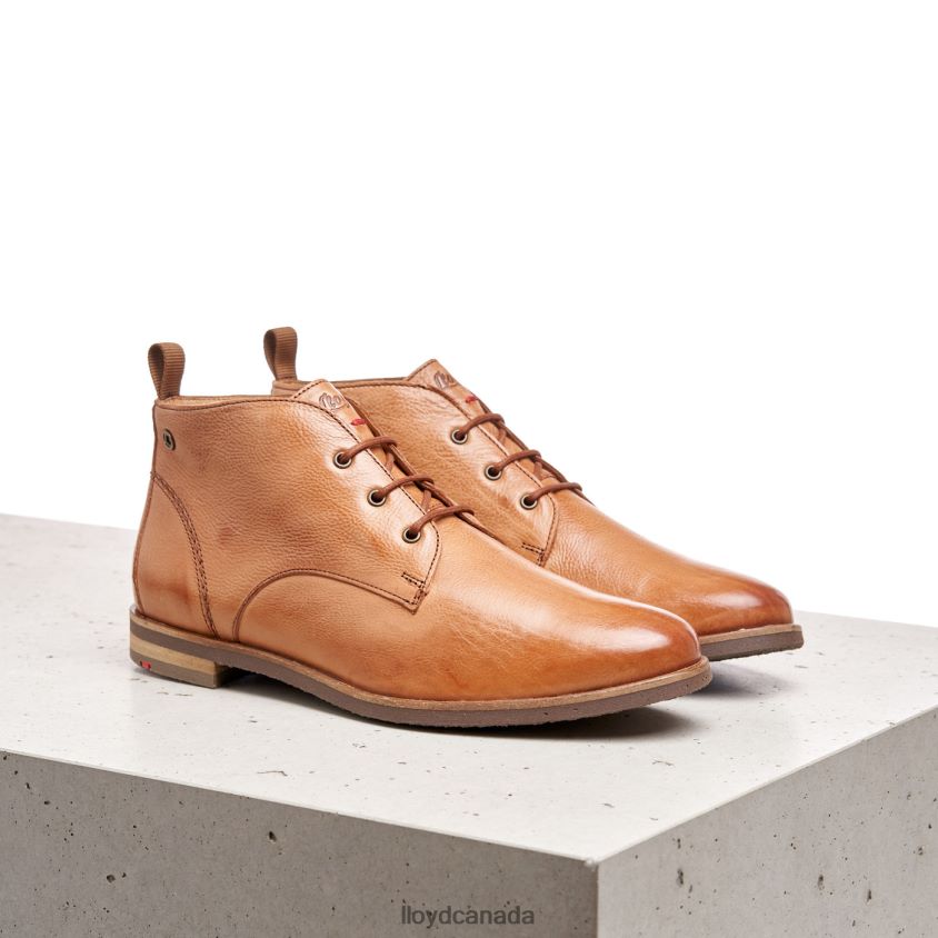 lace-up ANKLE BOOTS LLOYD Women brown R084ZF994 Shoes