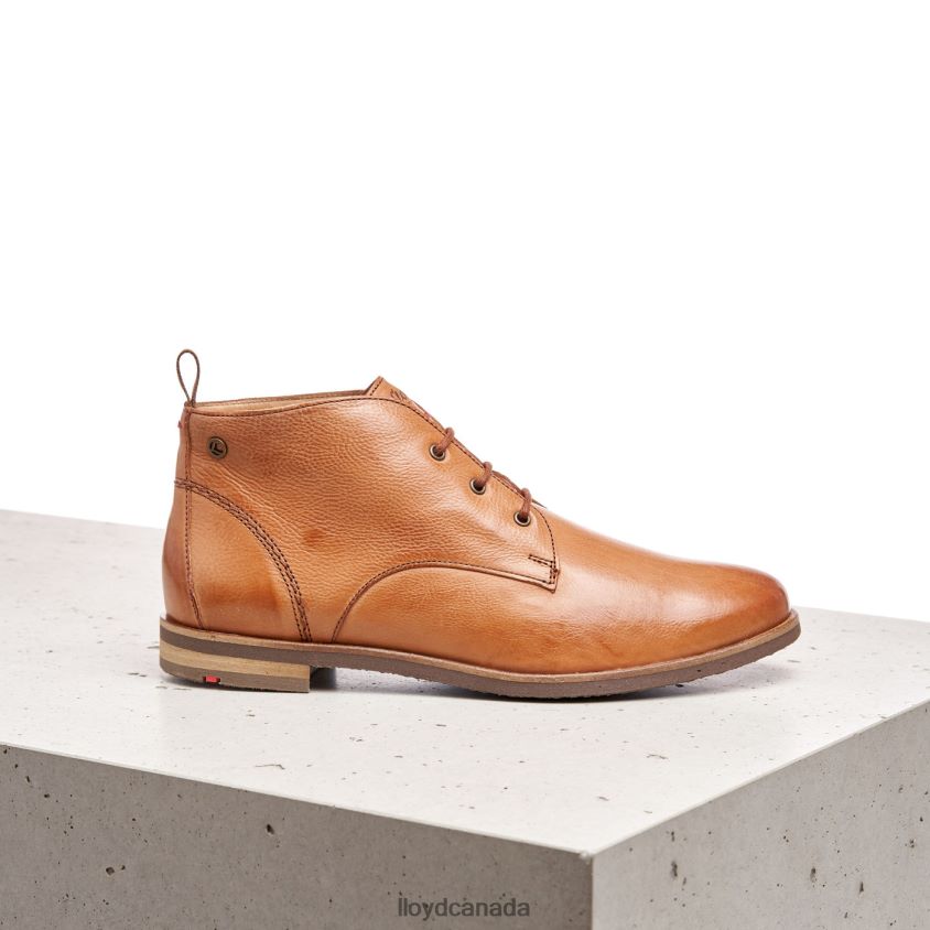 lace-up ANKLE BOOTS LLOYD Women brown R084ZF994 Shoes