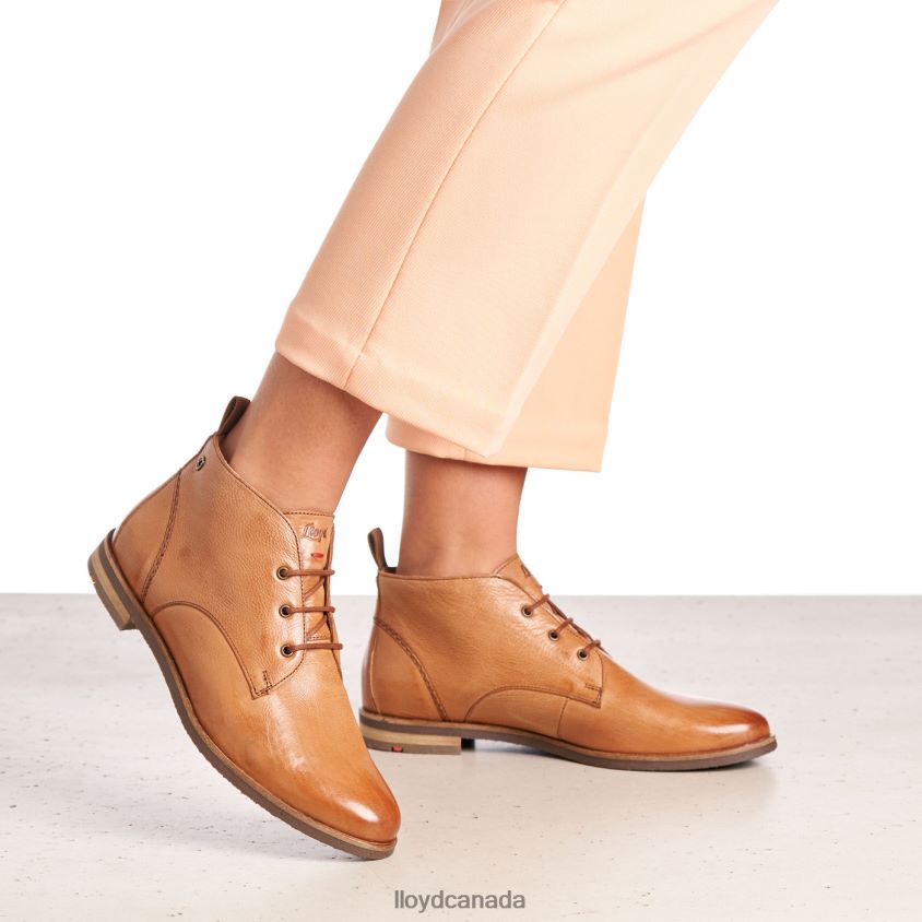 lace-up ANKLE BOOTS LLOYD Women brown R084ZF994 Shoes