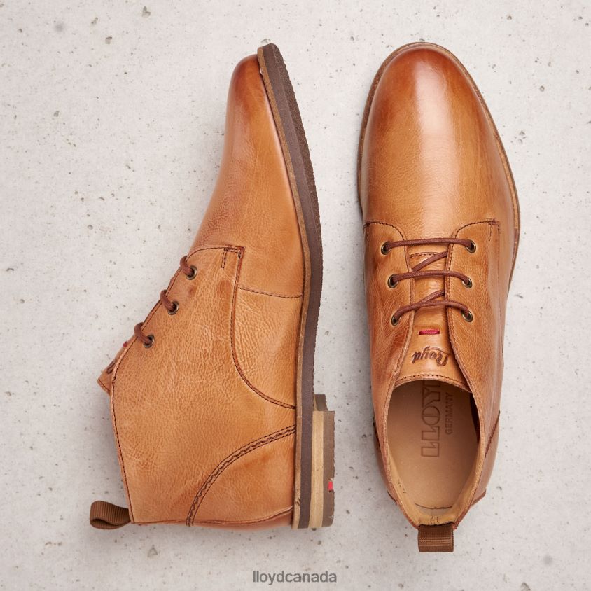 lace-up ANKLE BOOTS LLOYD Women brown R084ZF994 Shoes