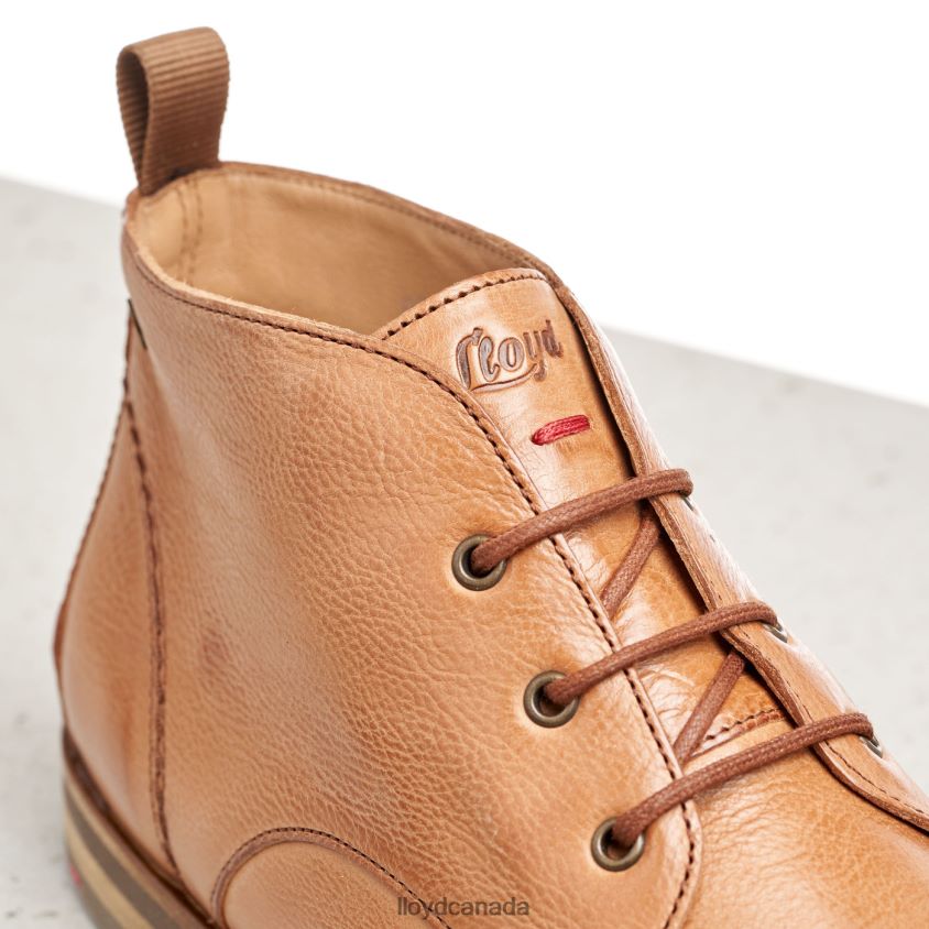 lace-up ANKLE BOOTS LLOYD Women brown R084ZF994 Shoes