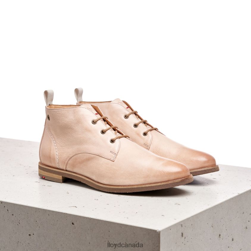 lace-up ANKLE BOOTS LLOYD Women pink R084ZF995 Shoes