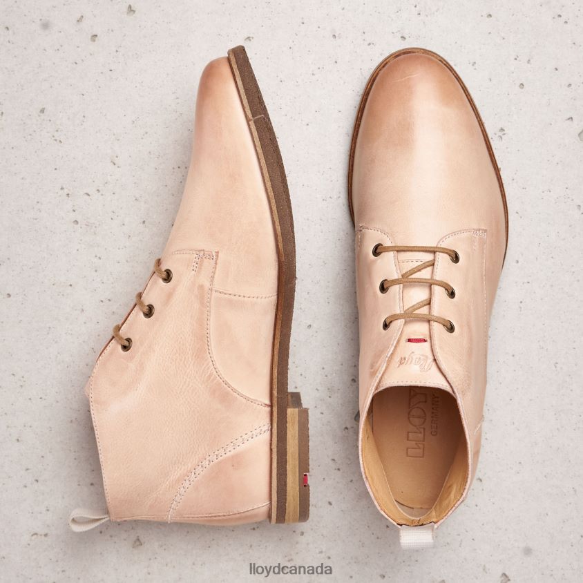 lace-up ANKLE BOOTS LLOYD Women pink R084ZF995 Shoes