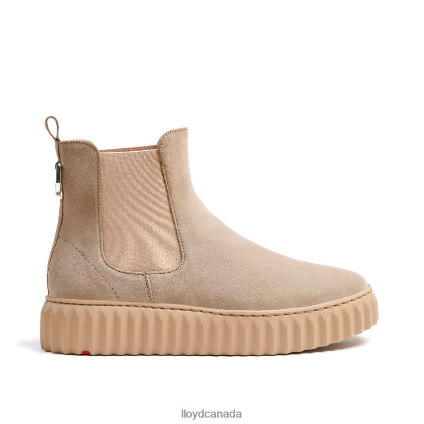 rough leather ANKLE BOOT LLOYD Women beige R084ZF882 Shoes