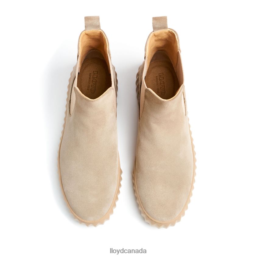 rough leather ANKLE BOOT LLOYD Women beige R084ZF882 Shoes