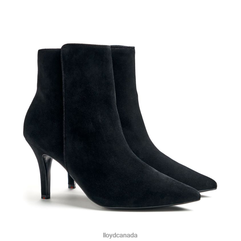 rough leather ANKLE BOOT LLOYD Women black R084ZF879 Shoes