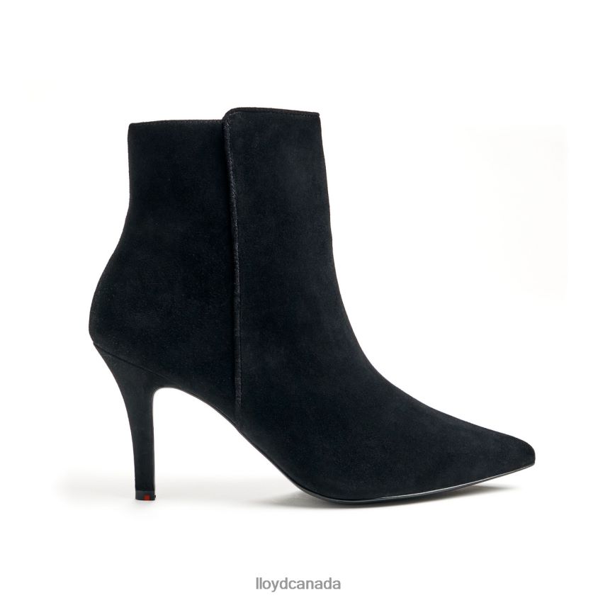 rough leather ANKLE BOOT LLOYD Women black R084ZF879 Shoes