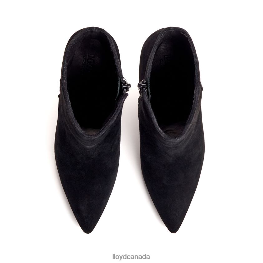 rough leather ANKLE BOOT LLOYD Women black R084ZF879 Shoes