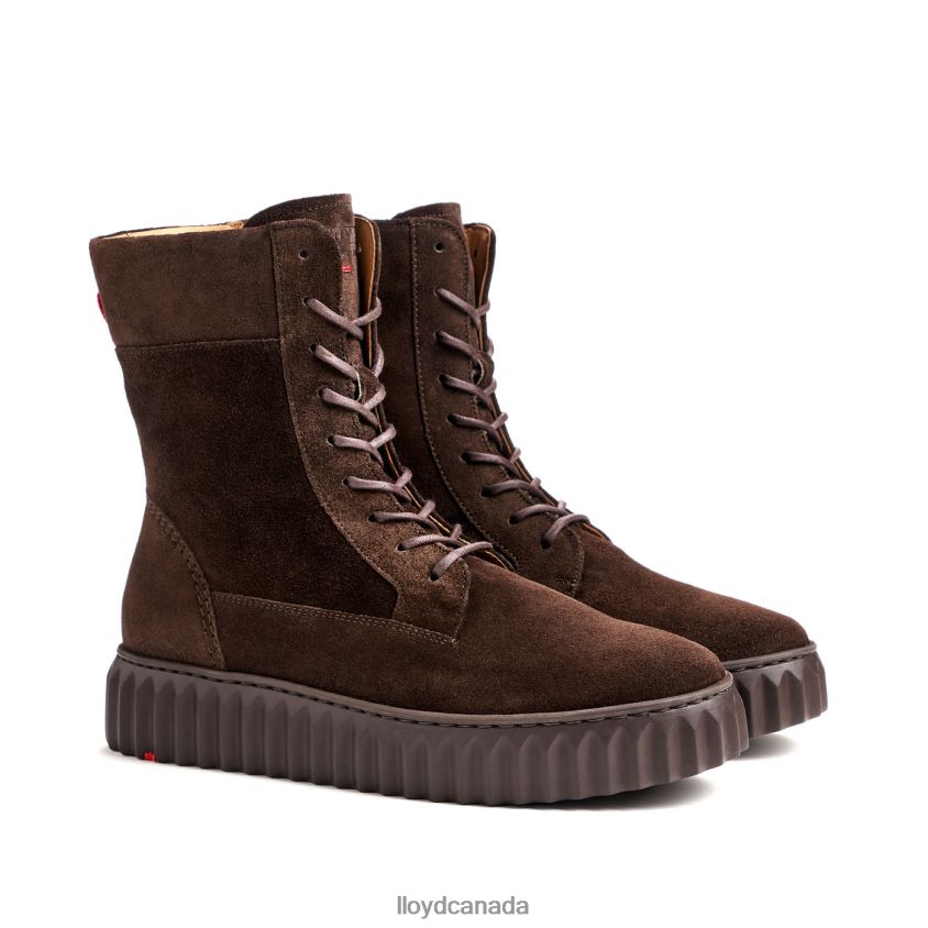 rough leather ANKLE BOOT LLOYD Women brown R084ZF889 Shoes