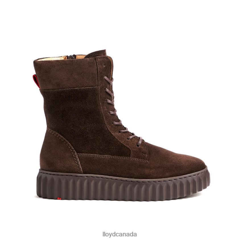 rough leather ANKLE BOOT LLOYD Women brown R084ZF889 Shoes