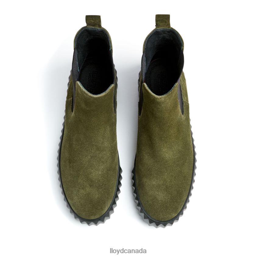rough leather ANKLE BOOT LLOYD Women green R084ZF883 Shoes