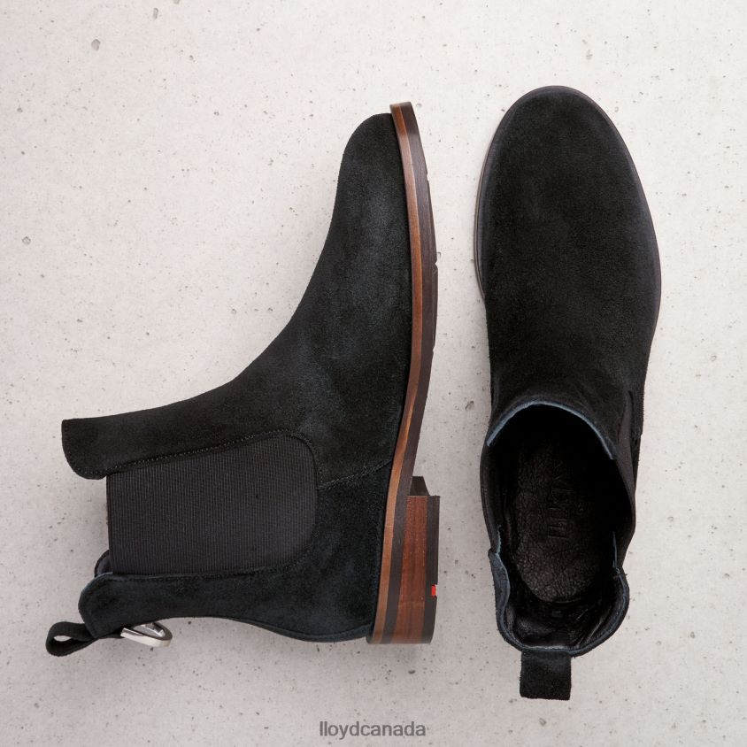 rough leather slip-on ANKLE BOOTS LLOYD Women black R084ZF975 Shoes