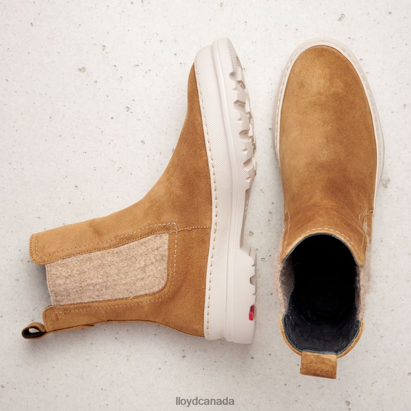 rough leather slip-on ANKLE BOOTS LLOYD Women brown R084ZF925 Shoes