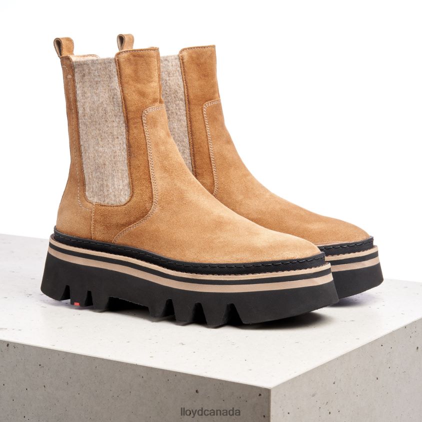 rough leather slip-on ANKLE BOOTS LLOYD Women brown R084ZF946 Shoes