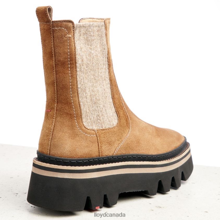 rough leather slip-on ANKLE BOOTS LLOYD Women brown R084ZF946 Shoes