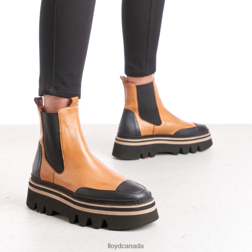 rubber sole slip-on ANKLE BOOTS LLOYD Women brown R084ZF943 Shoes