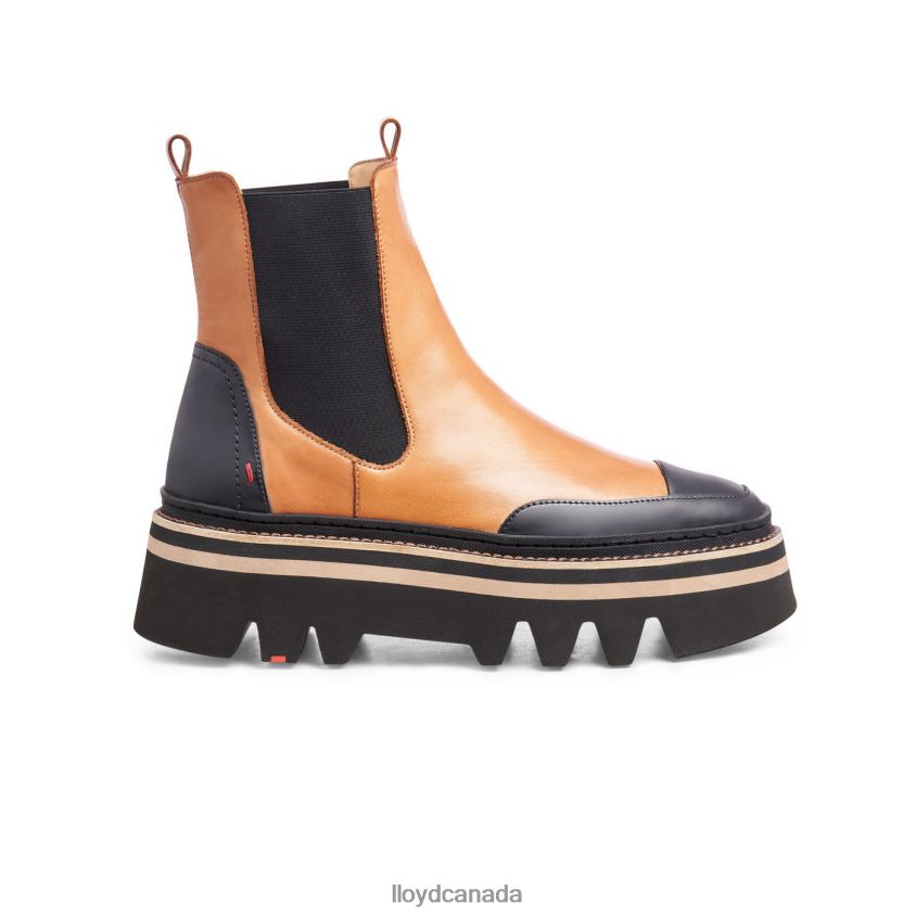 rubber sole slip-on ANKLE BOOTS LLOYD Women brown R084ZF943 Shoes