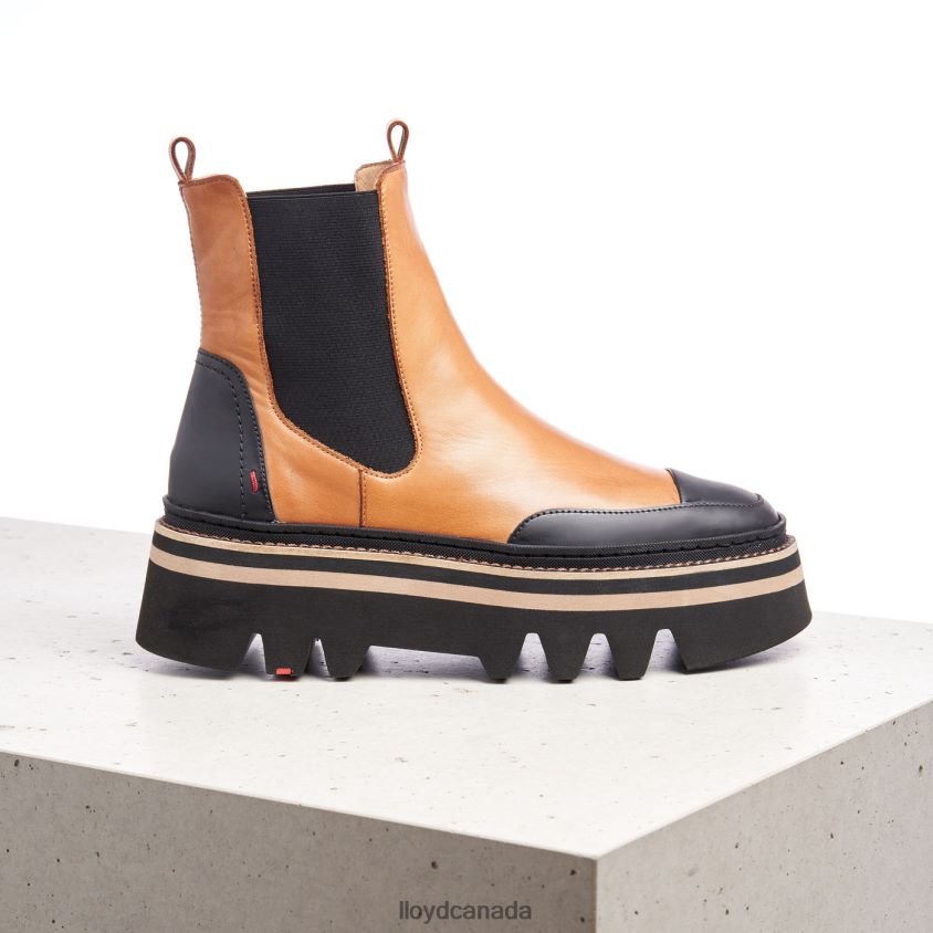 rubber sole slip-on ANKLE BOOTS LLOYD Women brown R084ZF943 Shoes