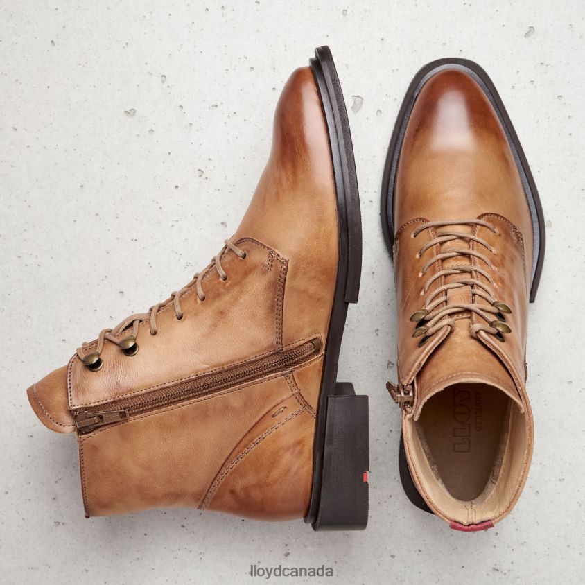 sheep leather ANKLE BOOTS LLOYD Women brown R084ZF1002 Shoes