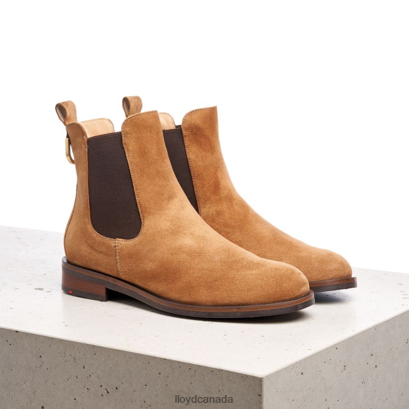 slip-on ANKLE BOOTS LLOYD Women brown R084ZF967 Shoes