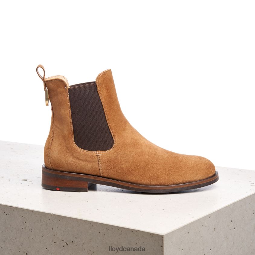 slip-on ANKLE BOOTS LLOYD Women brown R084ZF967 Shoes