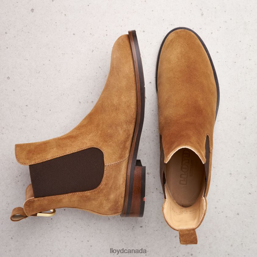 slip-on ANKLE BOOTS LLOYD Women brown R084ZF967 Shoes