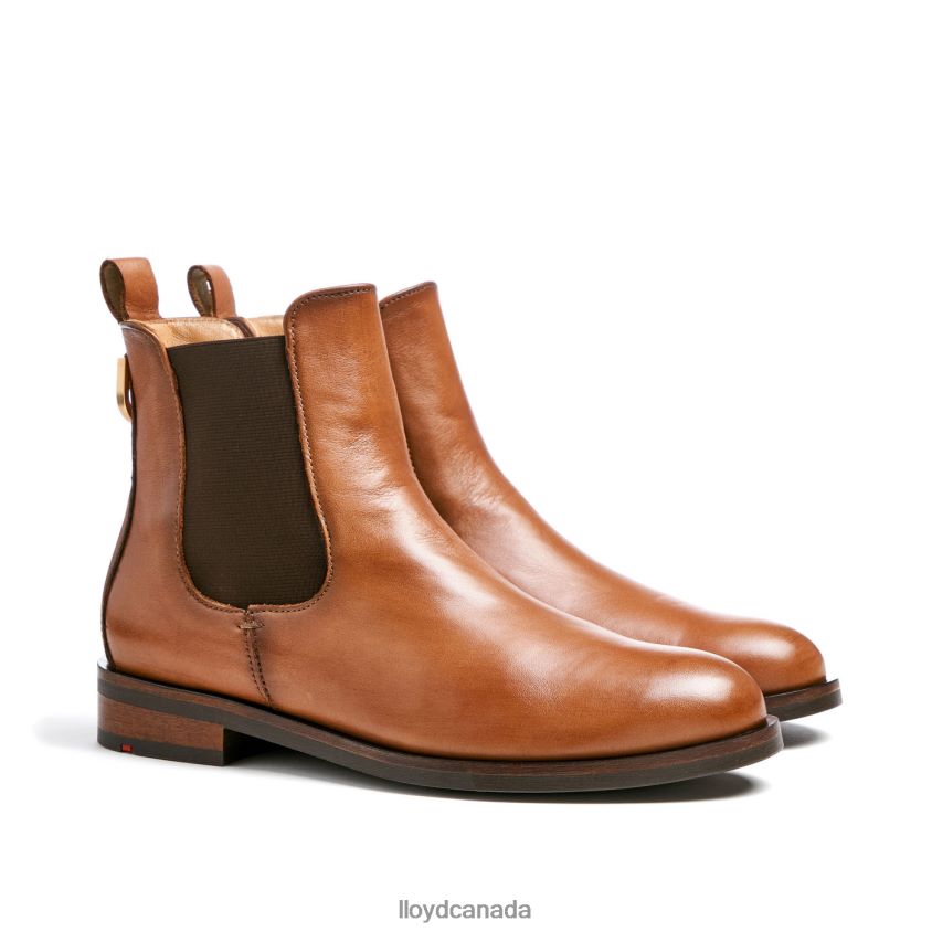 smooth leather slip-on ANKLE BOOTS LLOYD Women brown R084ZF933 Shoes