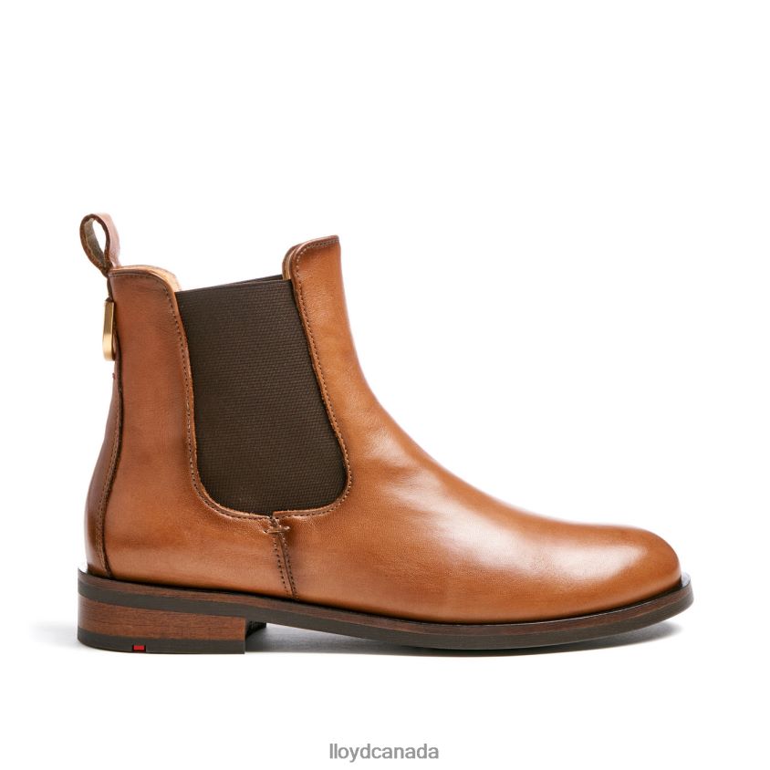 smooth leather slip-on ANKLE BOOTS LLOYD Women brown R084ZF933 Shoes