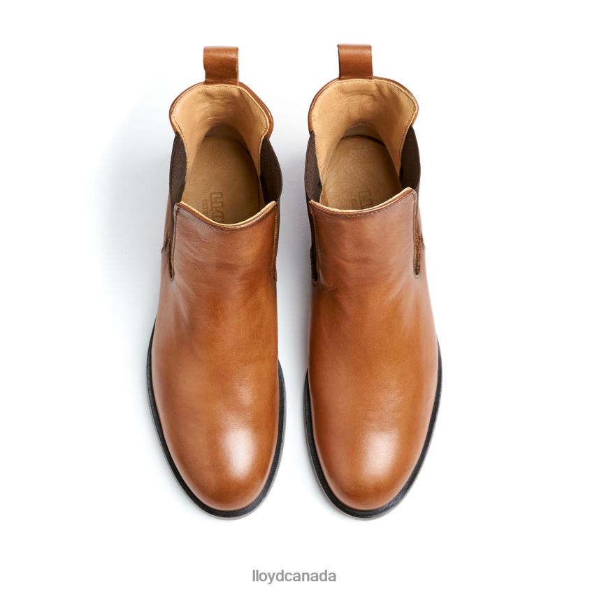smooth leather slip-on ANKLE BOOTS LLOYD Women brown R084ZF933 Shoes