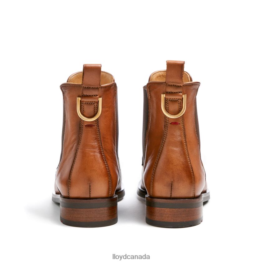 smooth leather slip-on ANKLE BOOTS LLOYD Women brown R084ZF933 Shoes