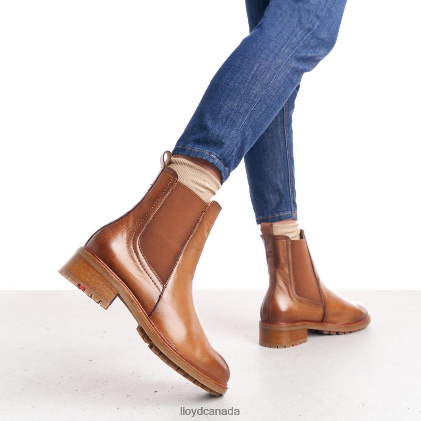 smooth leather slip-on ANKLE BOOTS LLOYD Women brown R084ZF964 Shoes
