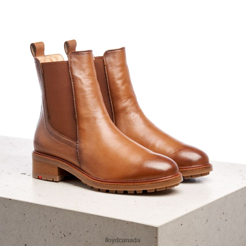 smooth leather slip-on ANKLE BOOTS LLOYD Women brown R084ZF964 Shoes