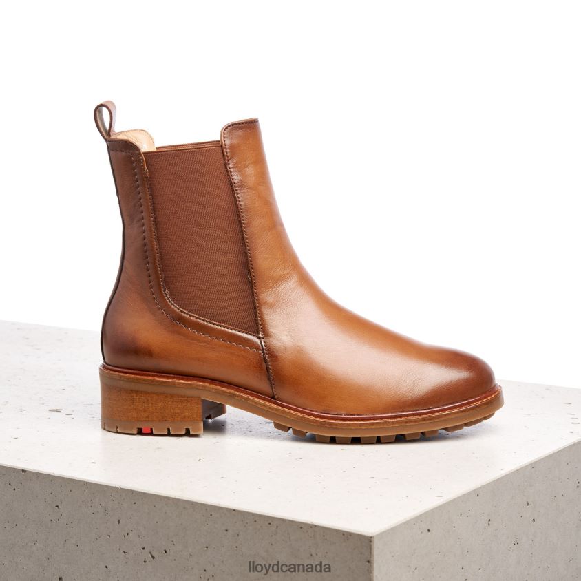 smooth leather slip-on ANKLE BOOTS LLOYD Women brown R084ZF964 Shoes